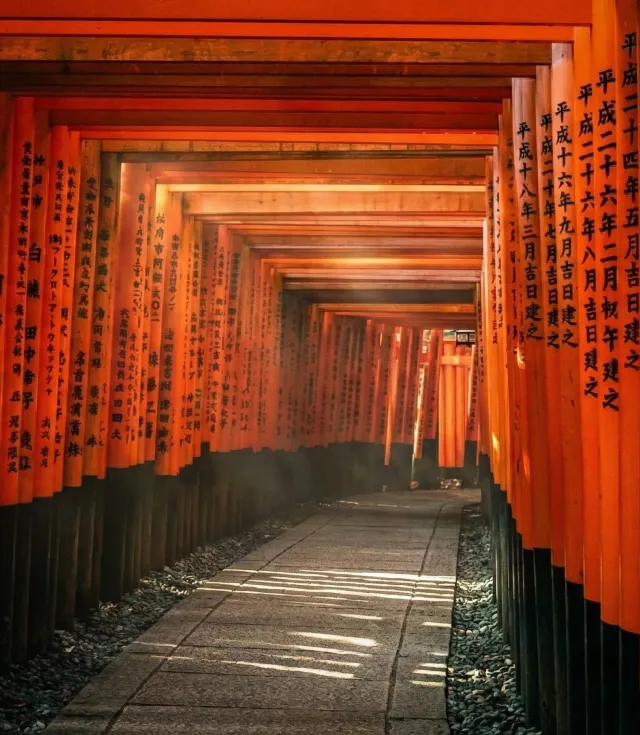 Japonya Turu: Tokyo, Kyoto ve Fuji Dağı'na Yolculuk