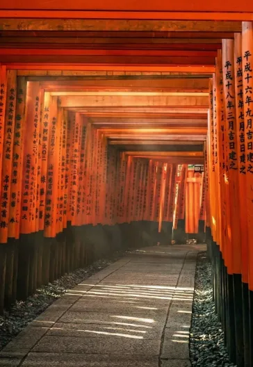 Japonya Turu: Tokyo, Kyoto ve Fuji Dağı'na Yolculuk