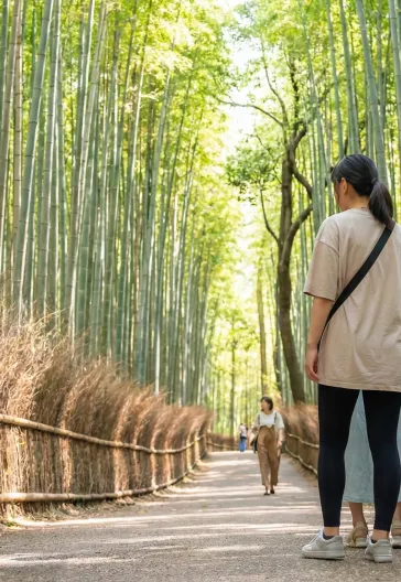 Japonya Turu: Tokyo, Kyoto ve Fuji Dağı'na Yolculuk