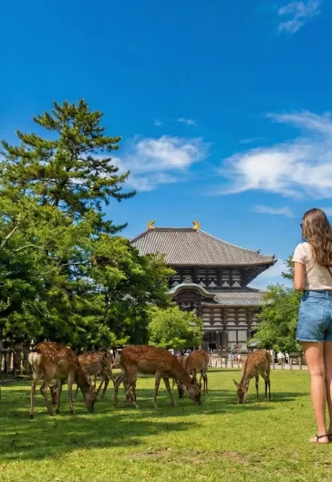 Japonya Turu: Tokyo, Kyoto ve Fuji Dağı'na Yolculuk