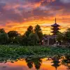 Japonya Turu | Tokyo · Kyoto · Osaka · Hiroshima · Fuji Dağı'na Yolculuk