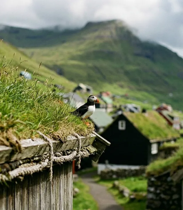 Trauminseln des Nordens 1: Färöer-Inseln Tour