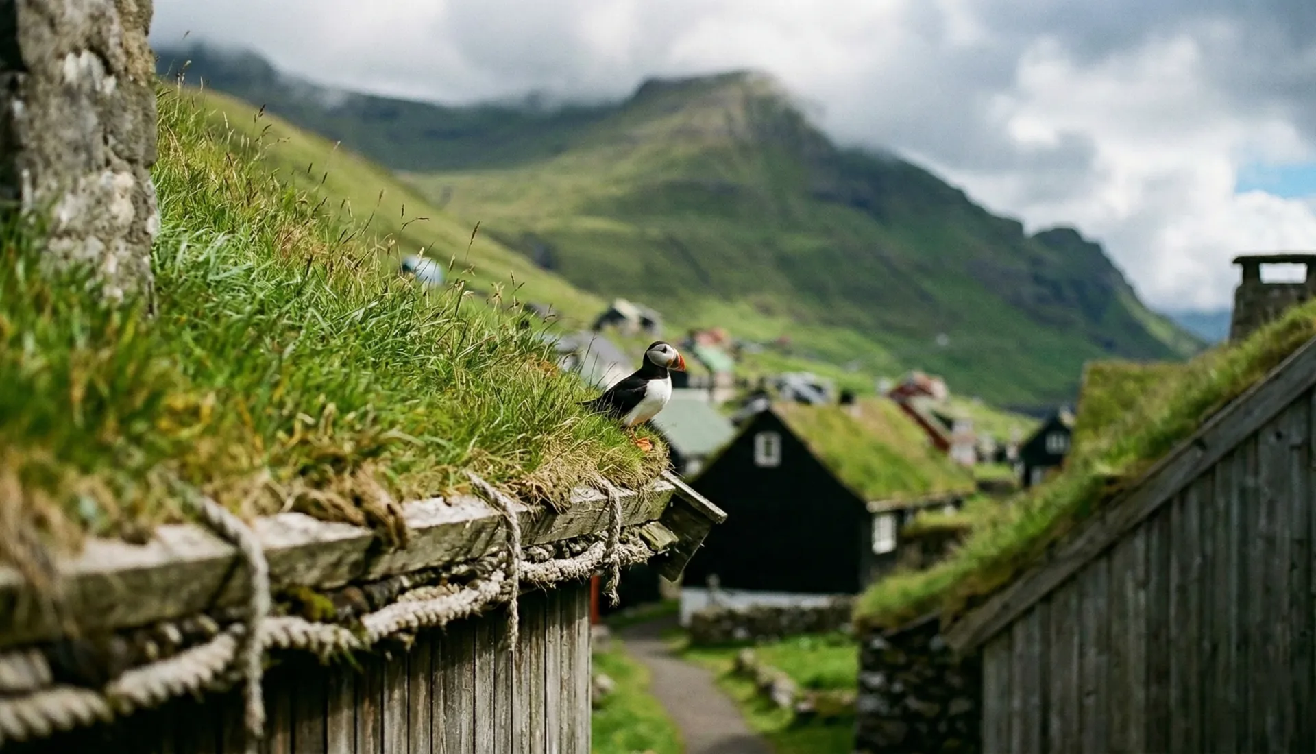 Trauminseln des Nordens 1: Färöer-Inseln Tour