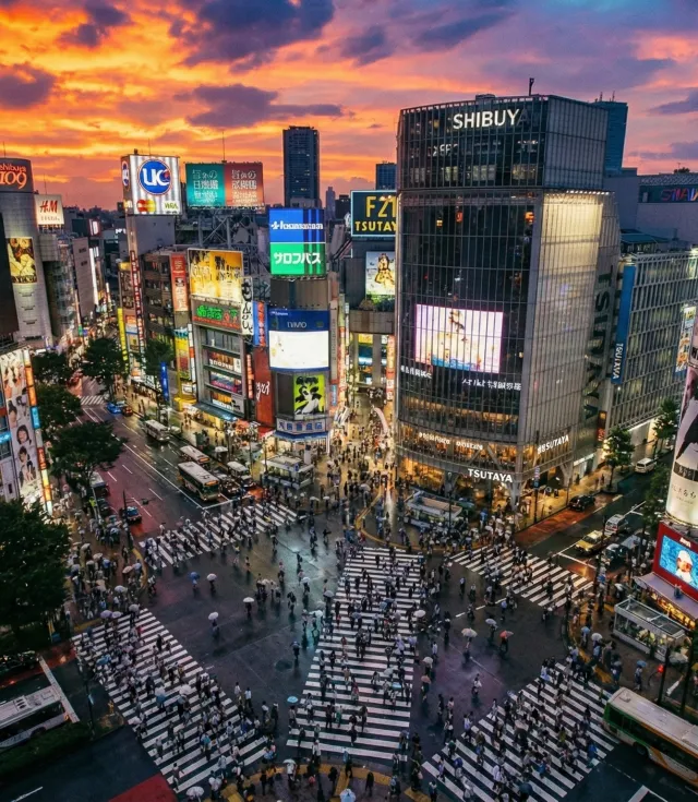Japonya – Güney Kore Eğitim Gezisi