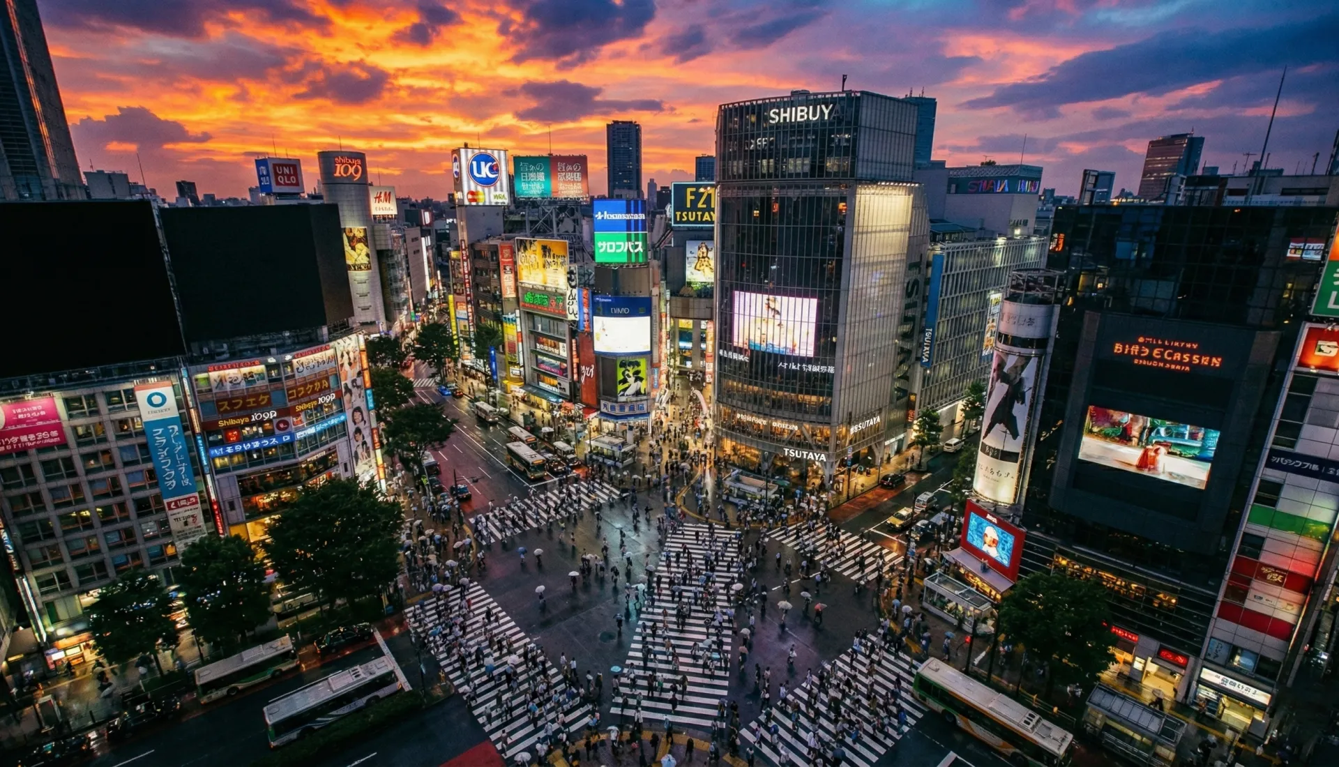 Japonya – Güney Kore Eğitim Gezisi