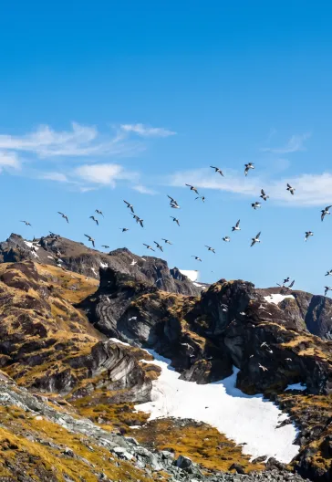 Svalbard Turu | Longyearbyen · Barentsburg · Pyramiden