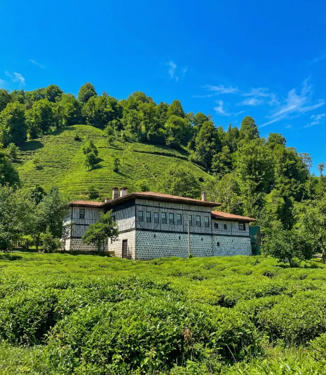 Macahel Şavşat Hemşin Yaylaları Turu