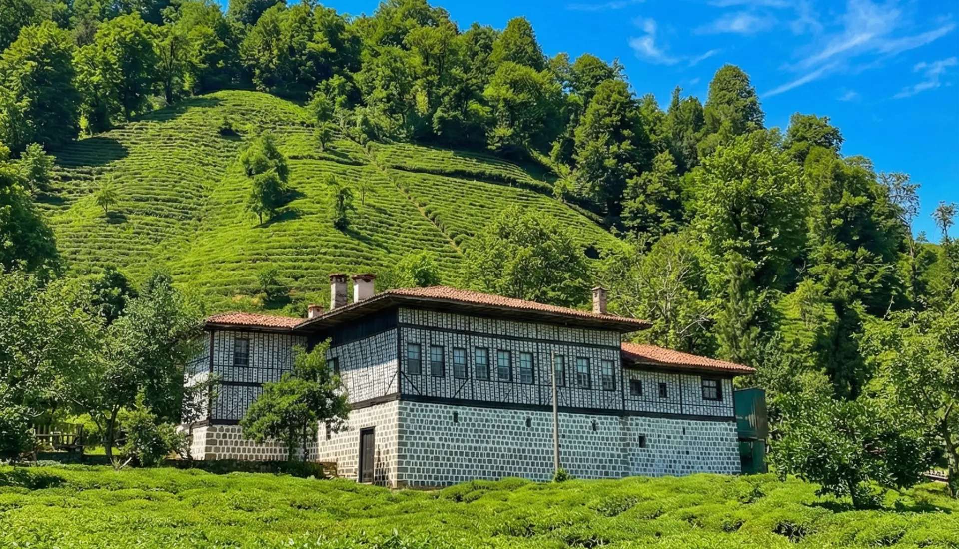 Macahel Şavşat Hemşin Yaylaları Turu