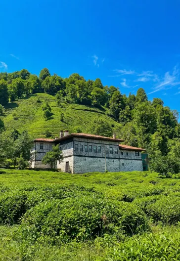 Macahel Şavşat Hemşin Yaylaları Turu