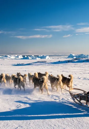 Grönland Turu | Buzdağlarının Doğduğu Yer Ilulissat · Kuzey Işıkları