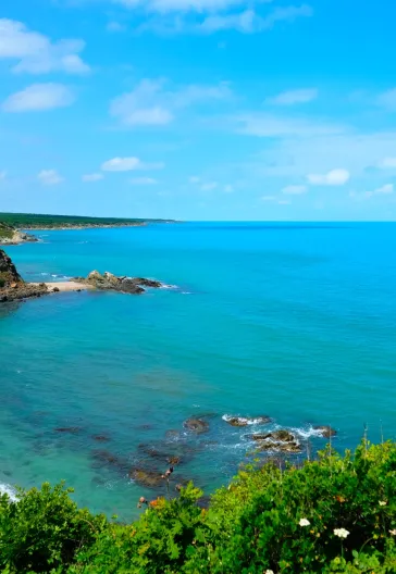 İğneada Longoz Ormanları