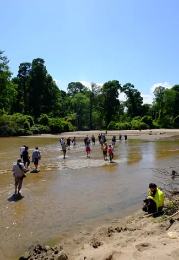 İğneada Longoz Ormanları