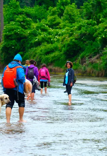 İğneada Longoz Ormanları