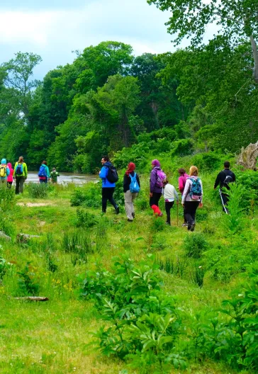 İğneada Longoz Ormanları