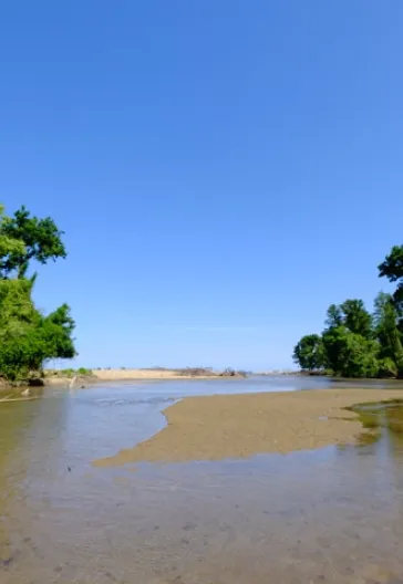 İğneada Longoz Ormanları