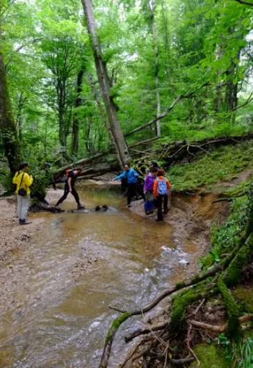 İğneada Longoz Ormanları