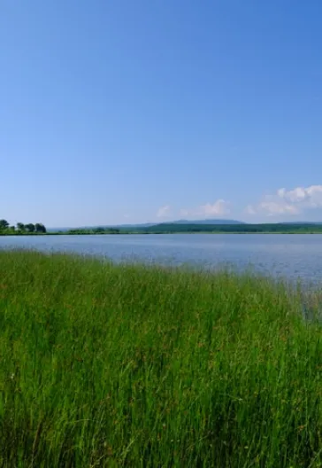 İğneada Longoz Ormanları