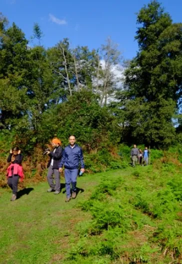 İğneada Longoz Ormanları