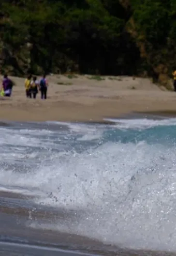 İğneada Longoz Ormanları