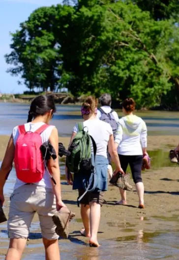 İğneada Longoz Ormanları