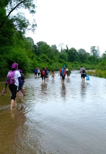 İğneada Longoz Ormanları