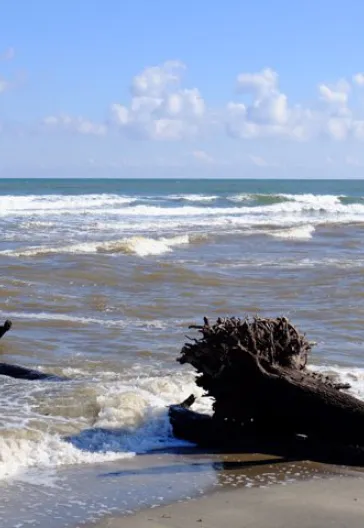 İğneada Longoz Ormanları