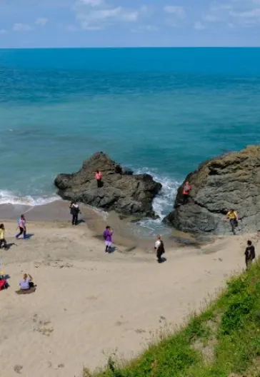 İğneada Longoz Ormanları