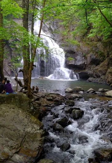 Erikli Yaylası Ve Şelalesi