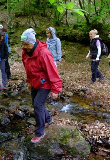 Erikli Yaylası Ve Şelalesi