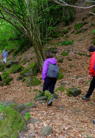 Erikli Yaylası Ve Şelalesi