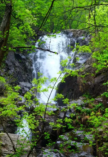 Erikli Yaylası Ve Şelalesi
