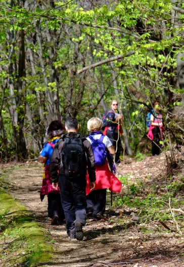 Erikli Yaylası Ve Şelalesi