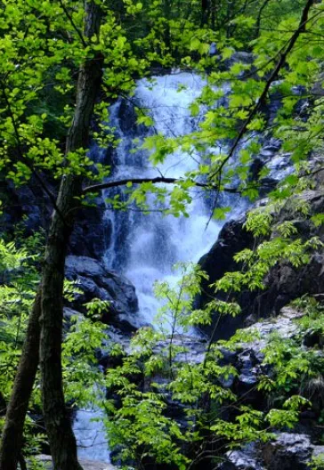 Erikli Yaylası Ve Şelalesi