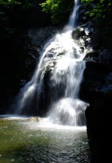 Erikli Yaylası Ve Şelalesi