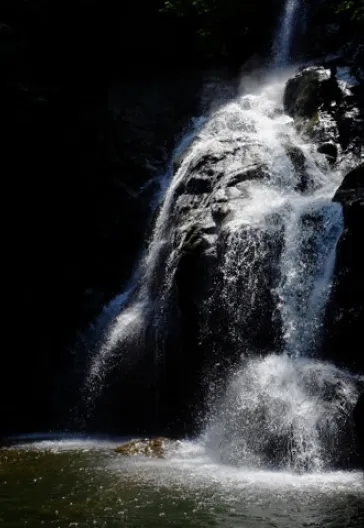 Erikli Yaylası Ve Şelalesi