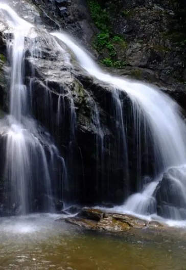 Erikli Yaylası Ve Şelalesi