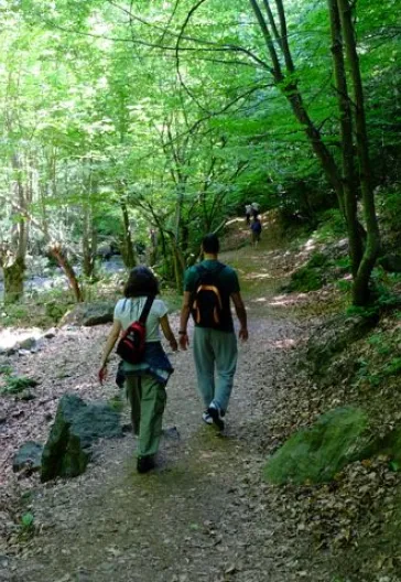 Erikli Yaylası Ve Şelalesi