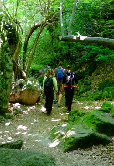 Erikli Yaylası Ve Şelalesi