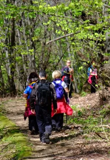 Erikli Yaylası Ve Şelalesi