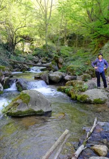 Erikli Yaylası Ve Şelalesi