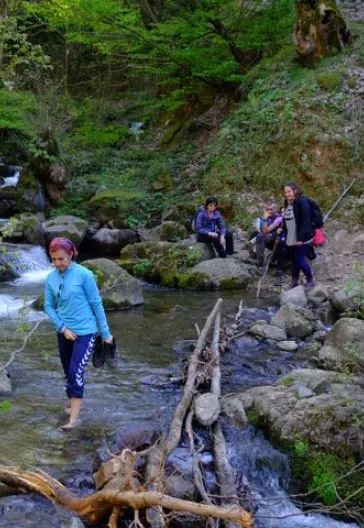 Erikli Yaylası Ve Şelalesi