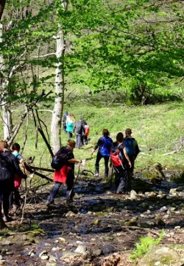 Erikli Yaylası Ve Şelalesi