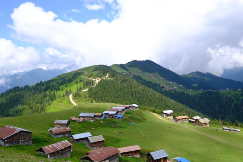 Sal Yaylası, Pokut Yaylası, Hazindak Yaylası, Amlakit Yaylası