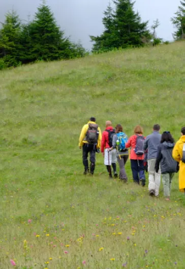 Маршрут Айше Арман