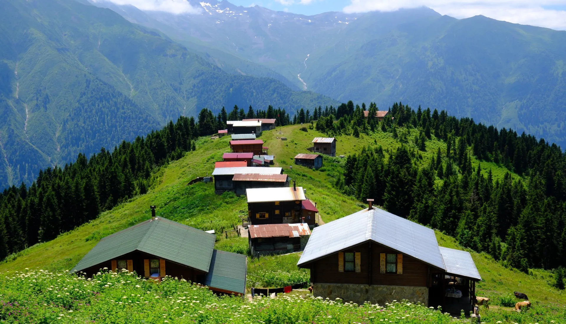 Premium Doğu Karadeniz Turu (3 Gece 4 Gün)