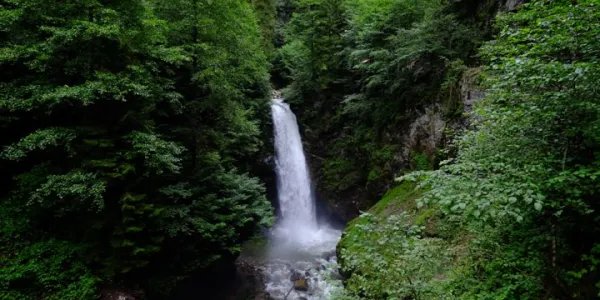 Premium Doğu Karadeniz Turu (3 Gece 4 Gün)