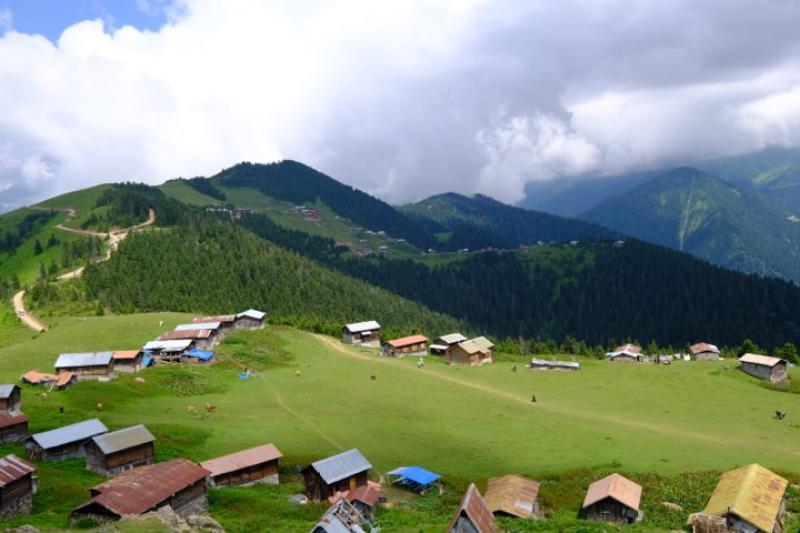 Sal Yaylası, Pokut Yaylası, Hazindak Yaylası, Palovit Şelalesi