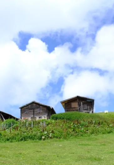 Премиальный тур по Восточному Черноморью (5 ночей 6 дней)