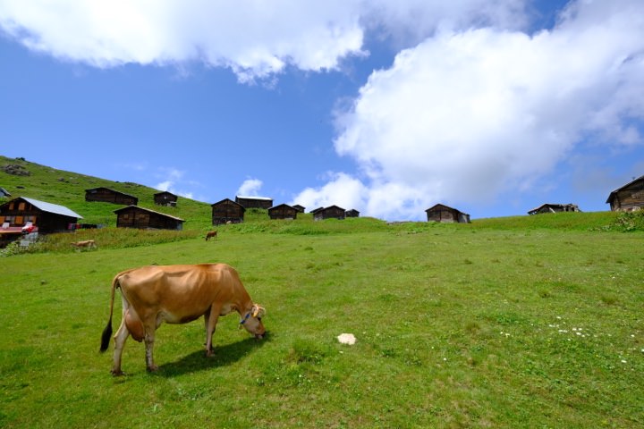 exclusive-karadeniz-5eaaa1a9ebf6e