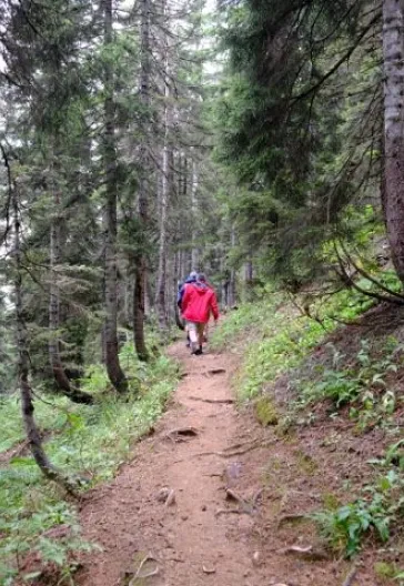 Premium Eastern Black Sea Tour (4 Nights 5 Days)